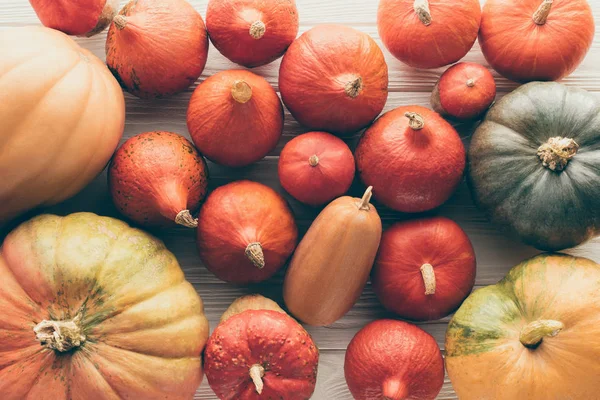 Vue de dessus de différentes citrouilles automnales mûres sur table en bois — Photo de stock