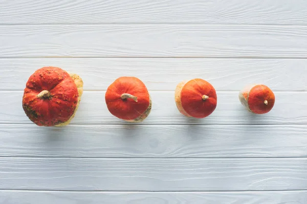 Vista elevada de pequeñas calabazas otoñales naranjas en fila sobre una mesa de madera - foto de stock