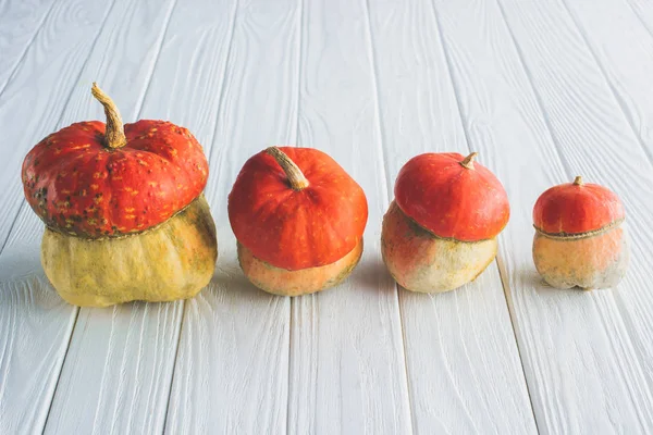 Small orange autumnal pumpkins in row on wooden tabletop — Stock Photo