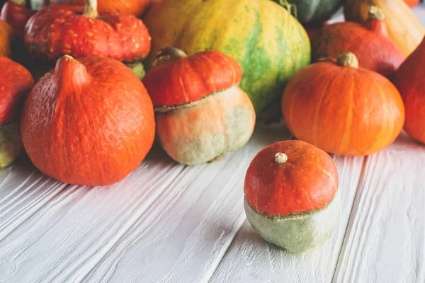 Pile of ripe autumnal pumpkins on wooden tabletop — Stock Photo