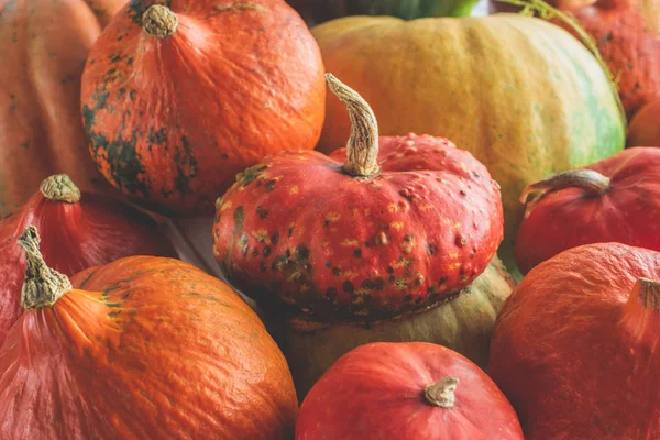 Close up of ripe autumnal pumpkins on pile — Stock Photo