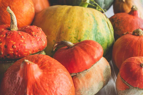 Nahaufnahme eines Haufens reifer herbstlicher Kürbisse auf der Tischplatte — Stockfoto