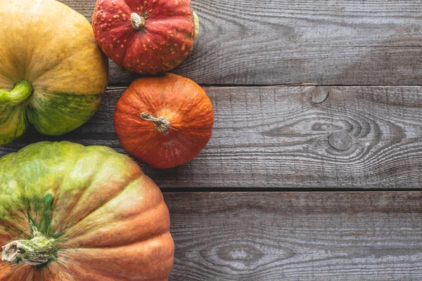 Elevated view of ripe autumnal pumpkins on grey wooden table — Stock Photo