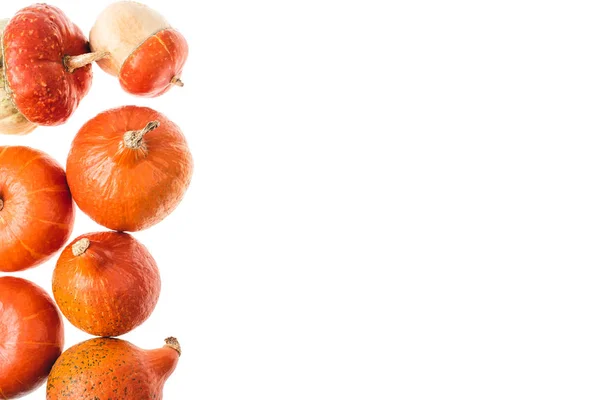 Vista elevada de calabazas naranjas maduras otoñales aisladas en blanco - foto de stock