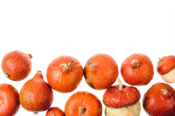 Citrouilles orange mûres automnales isolées sur blanc — Photo de stock