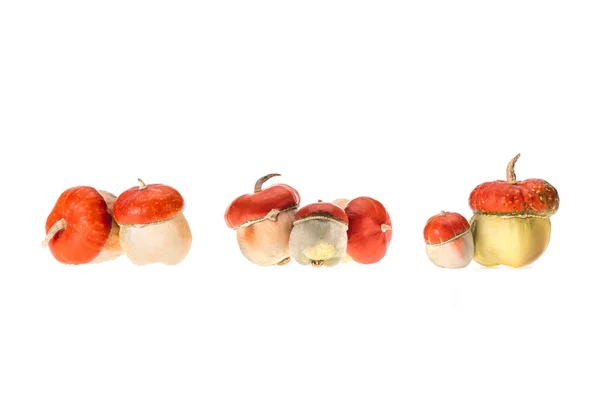 Tas de citrouilles automnales mûres isolés sur blanc — Photo de stock