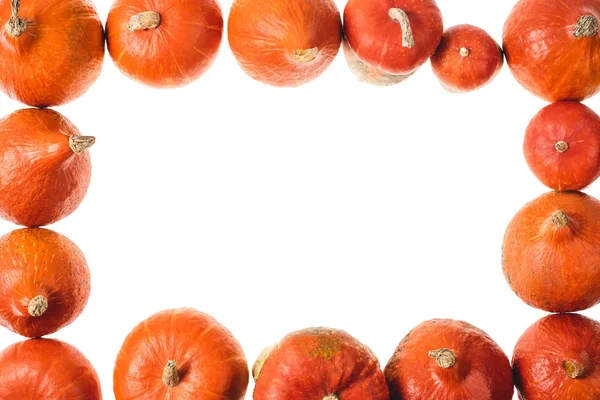 Vista dall'alto di cornice di zucche arancioni isolate su bianco — Foto stock