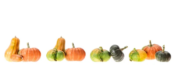 Vue panoramique ou citrouilles automnales mûres isolées sur blanc — Photo de stock