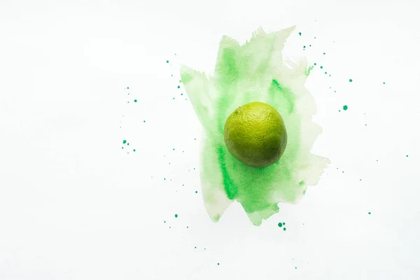 Top view of whole ripe lime on white surface with green watercolor — Stock Photo