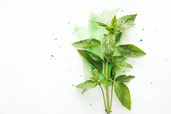 Vista dall'alto di grappolo di brunch di basilico fresco su superficie bianca con tratti di acquerello verde — Foto stock