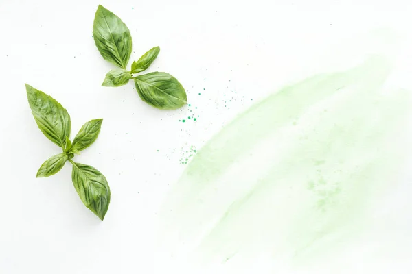 Top view of raw basil leaves on white surface with green watercolor strokes — Stock Photo