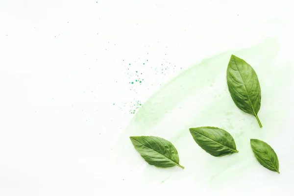 Vista dall'alto di foglie di basilico aromatiche su superficie bianca con pennellate di acquerello verde — Foto stock