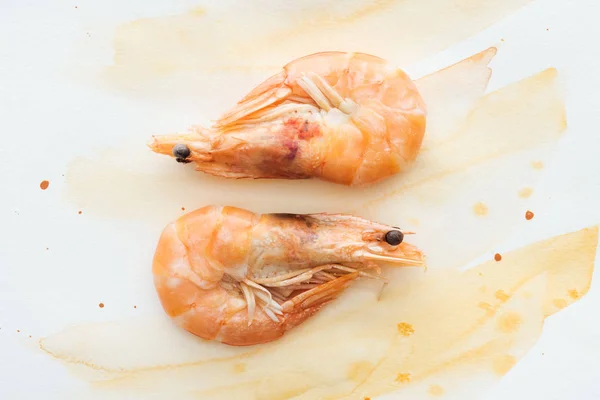 Top view of tasty shrimps on white tabletop with watercolor strokes — Stock Photo
