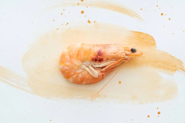 Top view of raw shrimp on white tabletop with watercolor strokes — Stock Photo