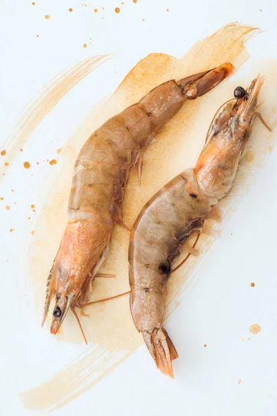 Top view of delicious raw shrimps on white surface with watercolor strokes — Stock Photo