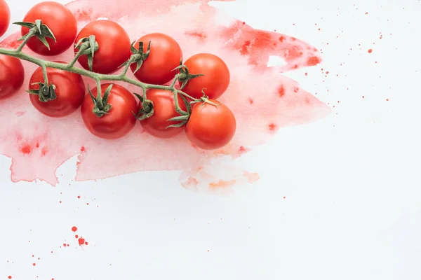 Visão superior do ramo de tomates saborosos na superfície branca com traços de aguarela vermelhos — Fotografia de Stock