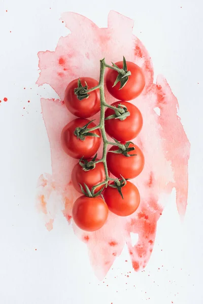 Draufsicht auf Zweig köstlicher Tomaten auf weißer Oberfläche mit roten Aquarellstrichen — Stockfoto