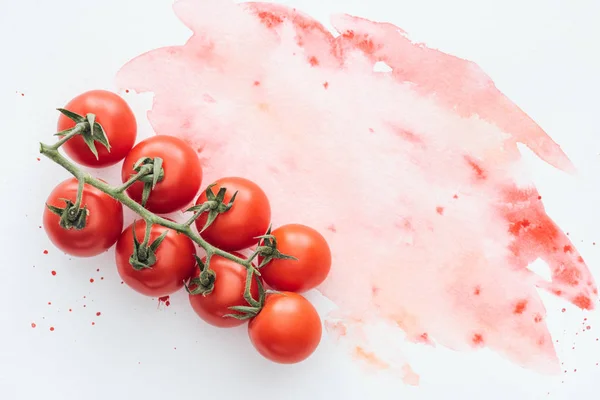 Top view of branch of ripe tomatoes on white surface with red watercolor strokes — Stock Photo