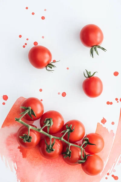 Vista superior do ramo de tomates cereja saborosos na superfície branca com traços de aguarela vermelha — Fotografia de Stock