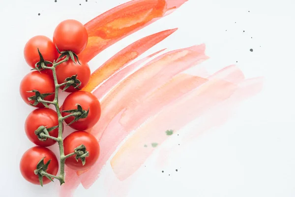 Vista superior do ramo de tomates cereja frescos na superfície branca com traços de aguarela vermelha — Fotografia de Stock