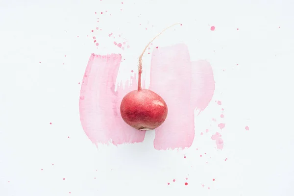 Top view of single ripe radish on white surface with pink watercolor strokes — Stock Photo