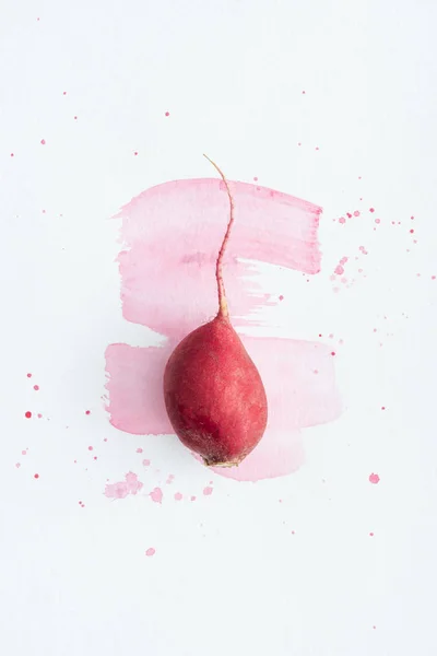 Vue de dessus du radis unique sur la surface blanche avec traits d'aquarelle rose — Photo de stock