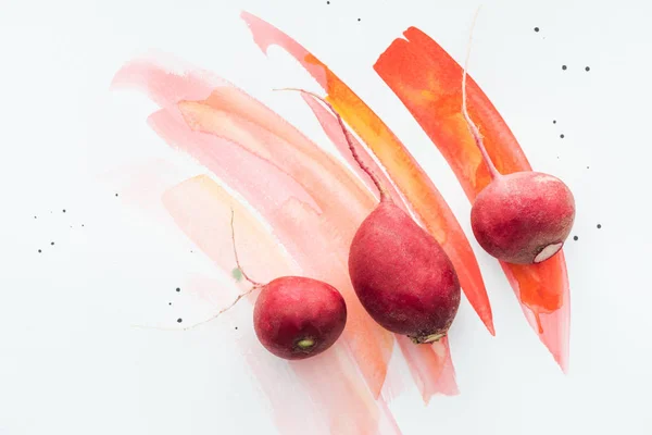 Top view of fresh radishes on white surface with red watercolor strokes — Stock Photo