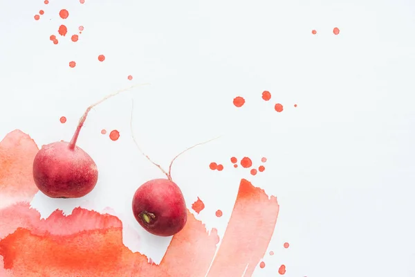Top view of ripe radishes on white surface with red watercolor strokes — Stock Photo