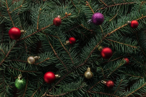 Повна рамка барвистих різдвяних іграшок на зелених гілках сосен — стокове фото