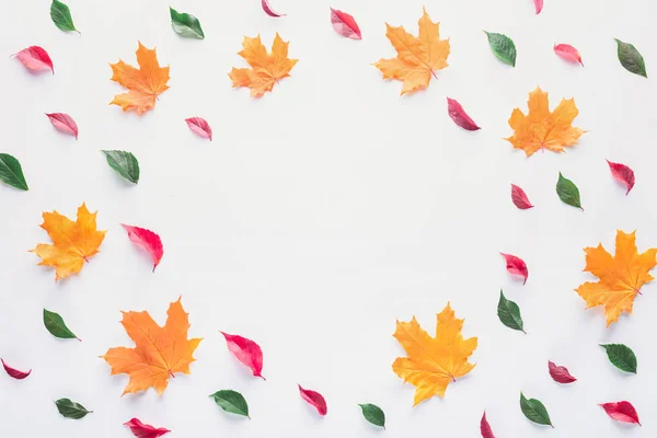 Flat lay of colored leaves with empty circle inside isolated on white, autumn background — Stock Photo