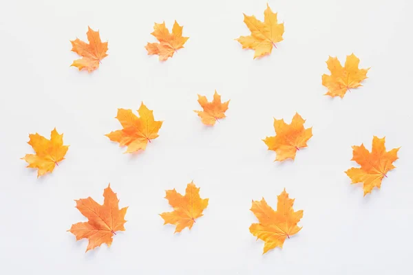 Set orangefarbener herbstlicher Ahornblätter isoliert auf weiß — Stockfoto