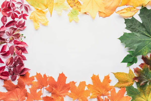 Top view of frame of autumnal leaves isolated on white — Stock Photo