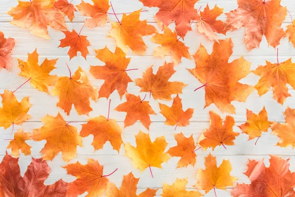 Vue de dessus des feuilles d'érable automnales orange sur la surface en bois — Photo de stock