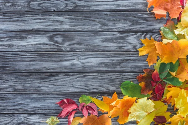 Vue de dessus des feuilles automnales sur la surface en bois gris — Photo de stock