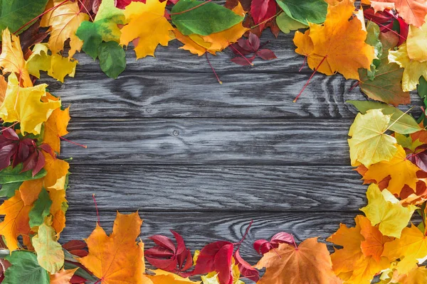 Top view of frame of autumnal maple leaves on wooden grey surface — Stock Photo