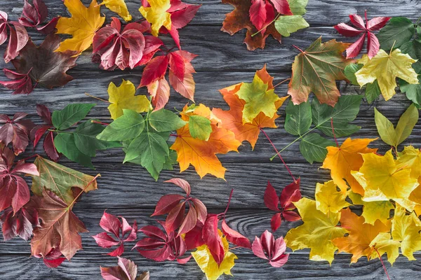 Vista superior de folhas de bordo outonal coloridas dispersas na superfície cinzenta de madeira — Fotografia de Stock