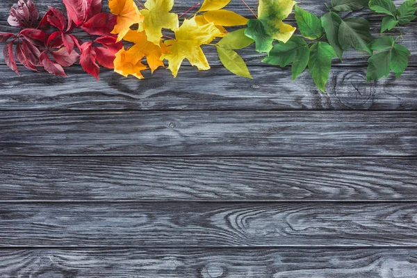 Top view of row of autumnal maple leaves on wooden surface — Stock Photo