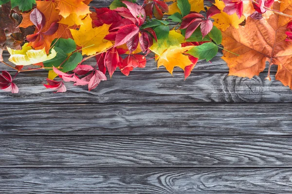 Vista dall'alto di bellissime foglie d'acero autunnale su una superficie grigio legno — Foto stock