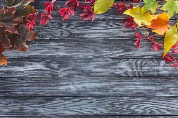 Vista superior de hojas otoñales de color sobre una superficie gris de madera - foto de stock