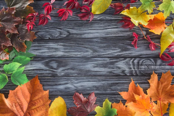 Top view of frame of autumnal different leaves on wooden surface — Stock Photo