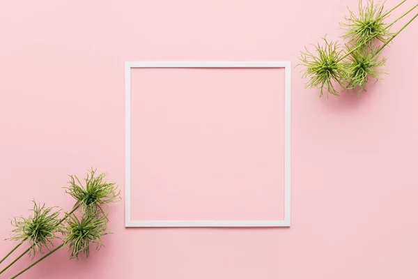 View from above of arranged green plants and white frame on pink — Stock Photo