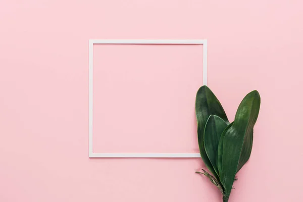 Vue surélevée du cadre blanc et des feuilles tropicales vertes sur rose, concept minimaliste — Photo de stock