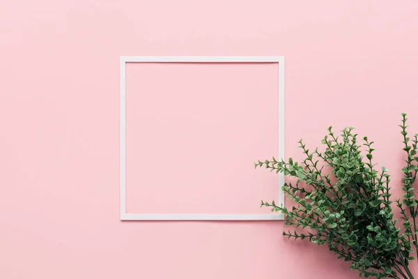 Top view of white square and green plant on pink, minimalistic concept — Stock Photo