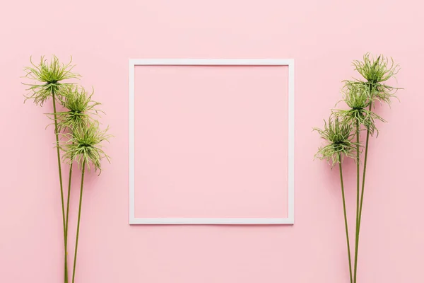 Vista superior do quadro branco entre plantas verdes em rosa — Fotografia de Stock