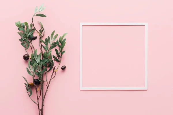 Erhöhte Ansicht von Rahmen und Zweig mit verzierten Beeren auf rosa — Stockfoto