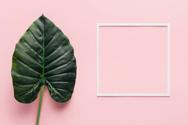 Vista dall'alto di foglia di palma verde e cornice bianca su rosa, concetto minimalista — Foto stock