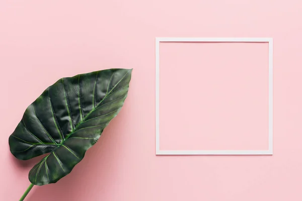 Tendido plano con blanco cuadrado y hoja de palma en rosa, concepto minimalista - foto de stock
