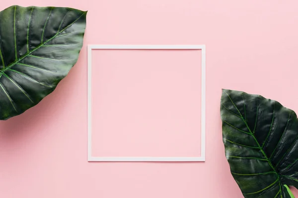 Top view of white square and palm leaves on pink, minimalistic concept — Stock Photo