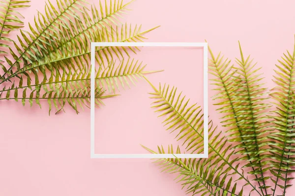 Vue surélevée des branches de fougère et cadre blanc sur rose — Photo de stock