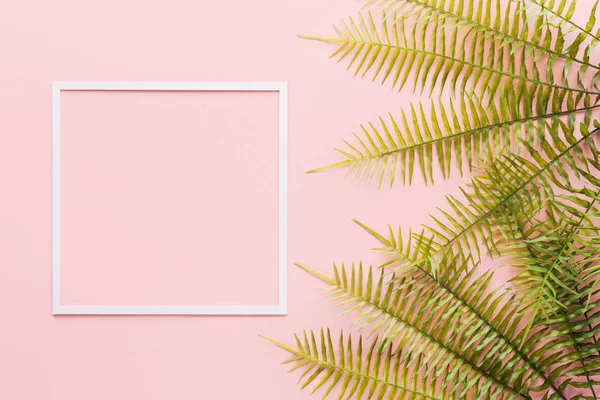 Deitado plano com ramos de samambaia e moldura branca em rosa — Fotografia de Stock